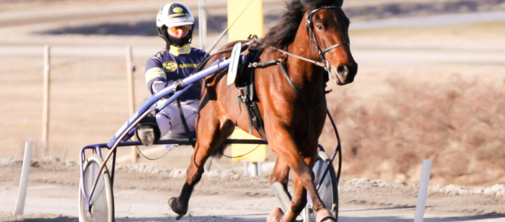 Vilde Skift startar på Eskilstuna