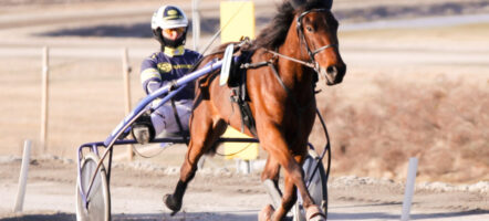 Vilde Skift startar på Eskilstuna