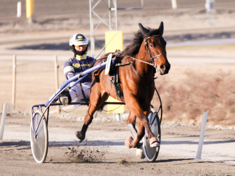 Vilde Skift startar på Eskilstuna